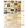 Image 1 : Roosevelt County Postcard Collection