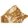 Image 1 : Gold in Quartz Breccia
