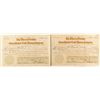 Image 1 : The Wheel of Fortune Consolidated Gold Mining Company Stock Pair