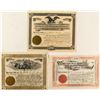 Image 1 : Trio of Cripple Creek Mining Stock Certificates