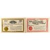 Image 1 : Two Different Rose Nicol Gold Mining Company Stock Certificates