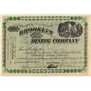 Image 1 : Brooklyn Mining Company Stock Certificate (Mine in Colorado)