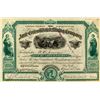 Image 1 : Amie Consolidated Mining Company Stock Certificate (Leadville)