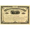 Image 1 : The Bonanza Development Company of Colorado Stock Certificate (Leadville)