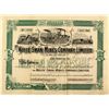 Image 1 : White Swan Mines Company Limited Stock Certificate (Oregon Mining Scam)