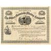 Image 1 : The Silver Mountain Mining Company Stock Certificate