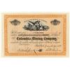 Image 1 : Columbia Mining Company Stock Certificate (Mines in Columbia) 1887