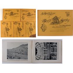 The "Monarch" Souvenir of Sunset City and Sunset Scenes (Mid-Winter Fair Photo Books)