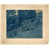 Image 1 : Cyanotype of Stagecoach Crash