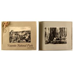 Yosemite National Park, California (1913 Photo Book)