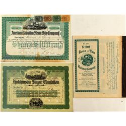 Hawaiian Steamship, Railroad, and Sugar Stock Certificates