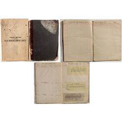 Clinton Illinois Insurance Ledgers