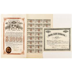 Union Cattle Company Stock and Bond