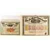 Image 1 : Michigan and Ohio RN Revenue Railroad Stock and Bond