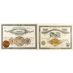 RN Facsimile Stock Certificates
