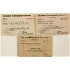 Image 1 : Grand Rapids & Indiana Railway Passes (3)