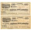 Image 1 : Peoples Ice Company Stock Certificate Pair
