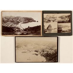 Catalina Mounted Photos