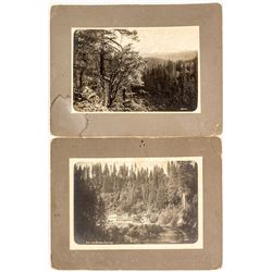 2 Photographs of Mt. Shasta Area
