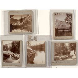 Early Yosemite Photographs