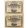 Image 1 : Two Alaska Mexican Gold Mining Co. Stock Certificates w/ Foreign Revenues