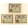 Image 1 : Three Unissued Stocks for Valdez  Hydraulic & Gold Mining Co.