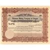 Image 1 : Platinum Mining Co. of Oregon Stock Certificate