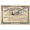 Image 1 : Santa Barbara Silver Mining Co. Stock Certificate