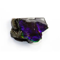 41CTS. AA GRADE AMMOLITE