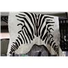 Image 1 : ANIMAL PRINT AREA RUG