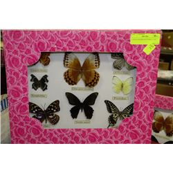 8-PIECE FRAMED BUTTERFLY SET