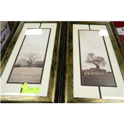 PAIR OF SHOWHOME TREE PICTURES