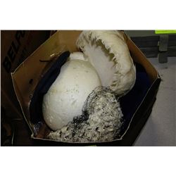 BOX OF VINTAGE HATS 1920'S & UP