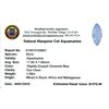 Image 2 : 3.56ctw Marquise Aquamarine Parcel