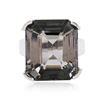 Image 2 : 14KT White Gold 25.26ct Tourmaline Ring