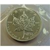 Image 1 : CANADA-1999-2000 SILVER MAPLE LEAF, FIREWORKS PRIVY