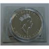 Image 2 : MINT PRODUCT-2002 HOLORAM LOON, PURE SILVER