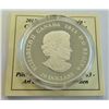 Image 3 : MINT PRODUCT-2013 $20  SILVER CONTEMPORARY ART