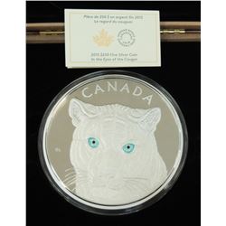 MINT PRODUCT-$250 2015 SILVER COUGAR KILO