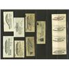 Image 2 : Waterlow Proof Coupon Assortment. Ca. 1900-1920.