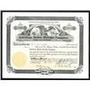 Image 1 : American Safety Powder Co. 1913 Stock Certificate.