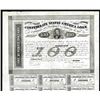 Image 1 : Confederate States of America. 1863.