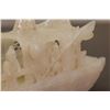 Image 11 : Very Fine Chinese Hetian White Jade Carved Boat