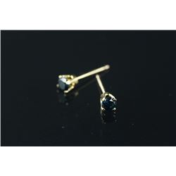 10kt Gold Blue Diamond 0.21ct Earrings CRV$600