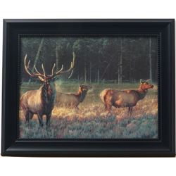 Framed GICLEE Nancy Glazier MORNING MAGIC Majestic Elks