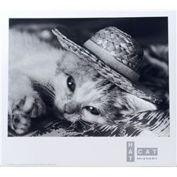 Photo Print HAT CAT by David McEnery Cute Kitten & Hat