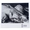 Image 1 : Photo Print HAT CAT by David McEnery Cute Kitten & Hat