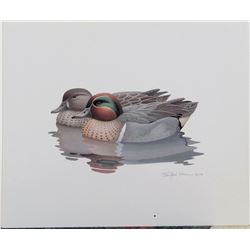 1981 Wildlife Print by Richard Sloan WOOD DUCKS