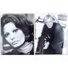 Image 1 : Loren, Harris, Sheen 1976 Photos THE CASSANDRA CROSSING