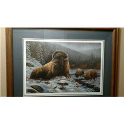 Rosemary Millette (Spirit of the Wild)